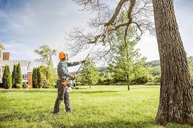 How Our Tree Care Process Works  in  Homer City, PA